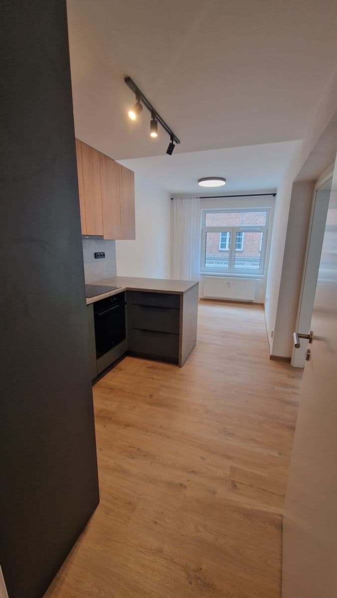Pronájem bytu 2+kk 38 m², Bratislavská, Brno, Jihomoravský kraj Pronájem bytu 2+kk 38 m², Bratislavská, Brno, Jihomoravský kraj