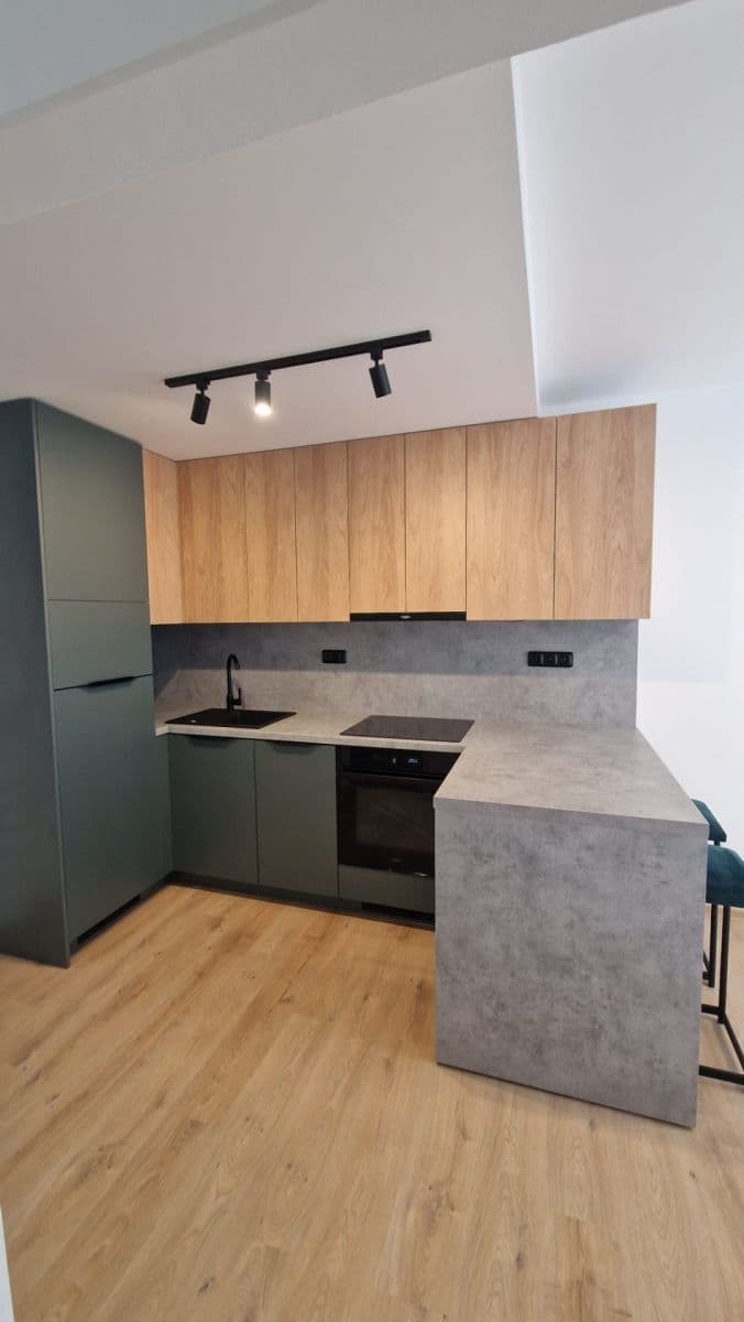 Pronájem bytu 2+kk 38 m², Bratislavská, Brno, Jihomoravský kraj Pronájem bytu 2+kk 38 m², Bratislavská, Brno, Jihomoravský kraj