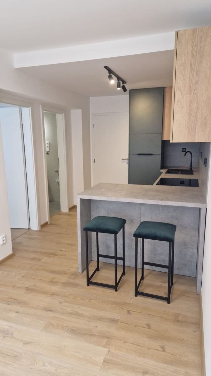 Pronájem bytu 2+kk 38 m², Bratislavská, Brno, Jihomoravský kraj Pronájem bytu 2+kk 38 m², Bratislavská, Brno, Jihomoravský kraj