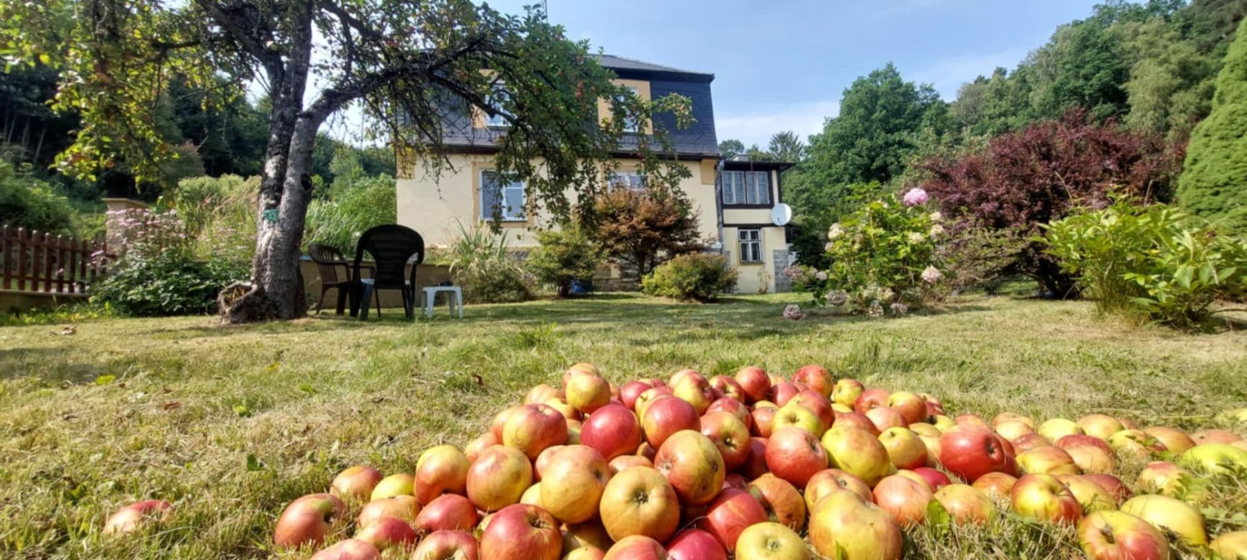 Prodej domu 190 m², pozemek 2.800 m², Nádražní, Mikulovice, Olomoucký kraj Prodej domu 190 m², pozemek 2.800 m², Nádražní, Mikulovice, Olomoucký kraj