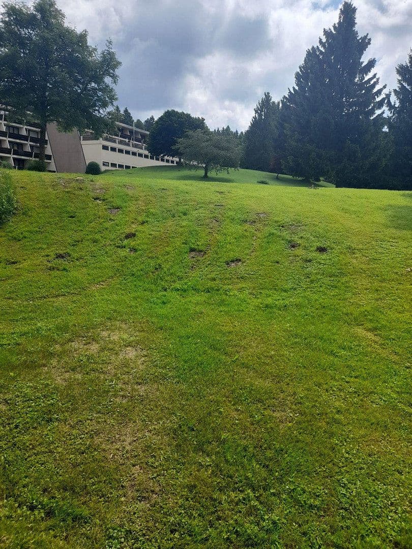 Prodej bytu 1+1 38 m², Sankt Englmar, Bavorsko Prodej bytu 1+1 38 m², Sankt Englmar, Bavorsko