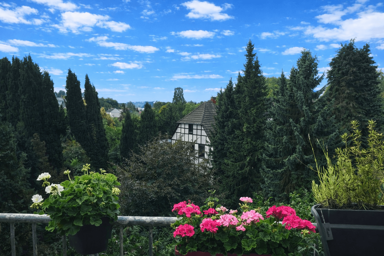 Pronájem bytu 3+1 90 m², Overather Straße 10 a, Bergisch Gladbach, Severní Porýní-Vestfálsko Pronájem bytu 3+1 90 m², Overather Straße 10 a, Bergisch Gladbach, Severní Porýní-Vestfálsko