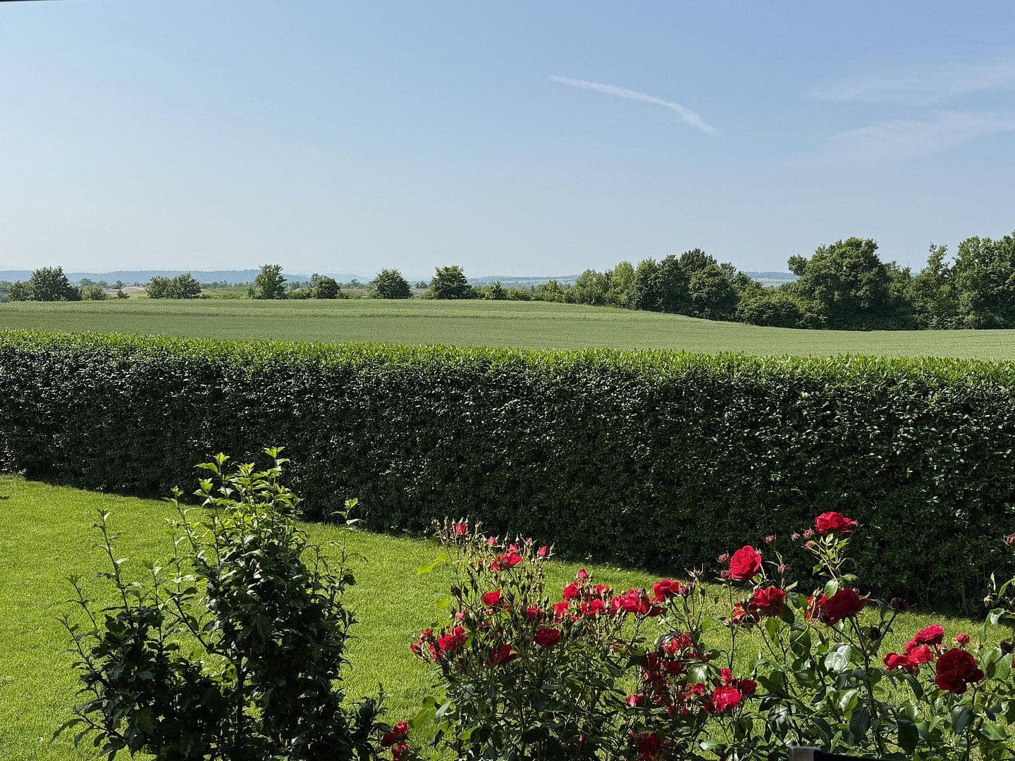 Prodej domu 150 m², pozemek 441 m², Luise-Schöffel-Weg 9, Herrenberg, Bádensko-Württembersko Prodej domu 150 m², pozemek 441 m², Luise-Schöffel-Weg 9, Herrenberg, Bádensko-Württembersko