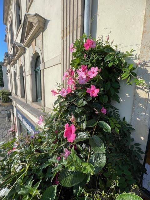 Pronájem bytu 4+1 88 m², Österreicher Str. 44, Dresden, Sasko Pronájem bytu 4+1 88 m², Österreicher Str. 44, Dresden, Sasko