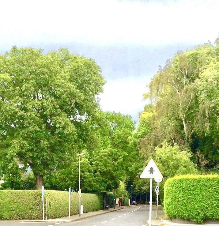 Prodej domu 165 m², pozemek 381 m², Köln, Severní Porýní-Vestfálsko Prodej domu 165 m², pozemek 381 m², Köln, Severní Porýní-Vestfálsko