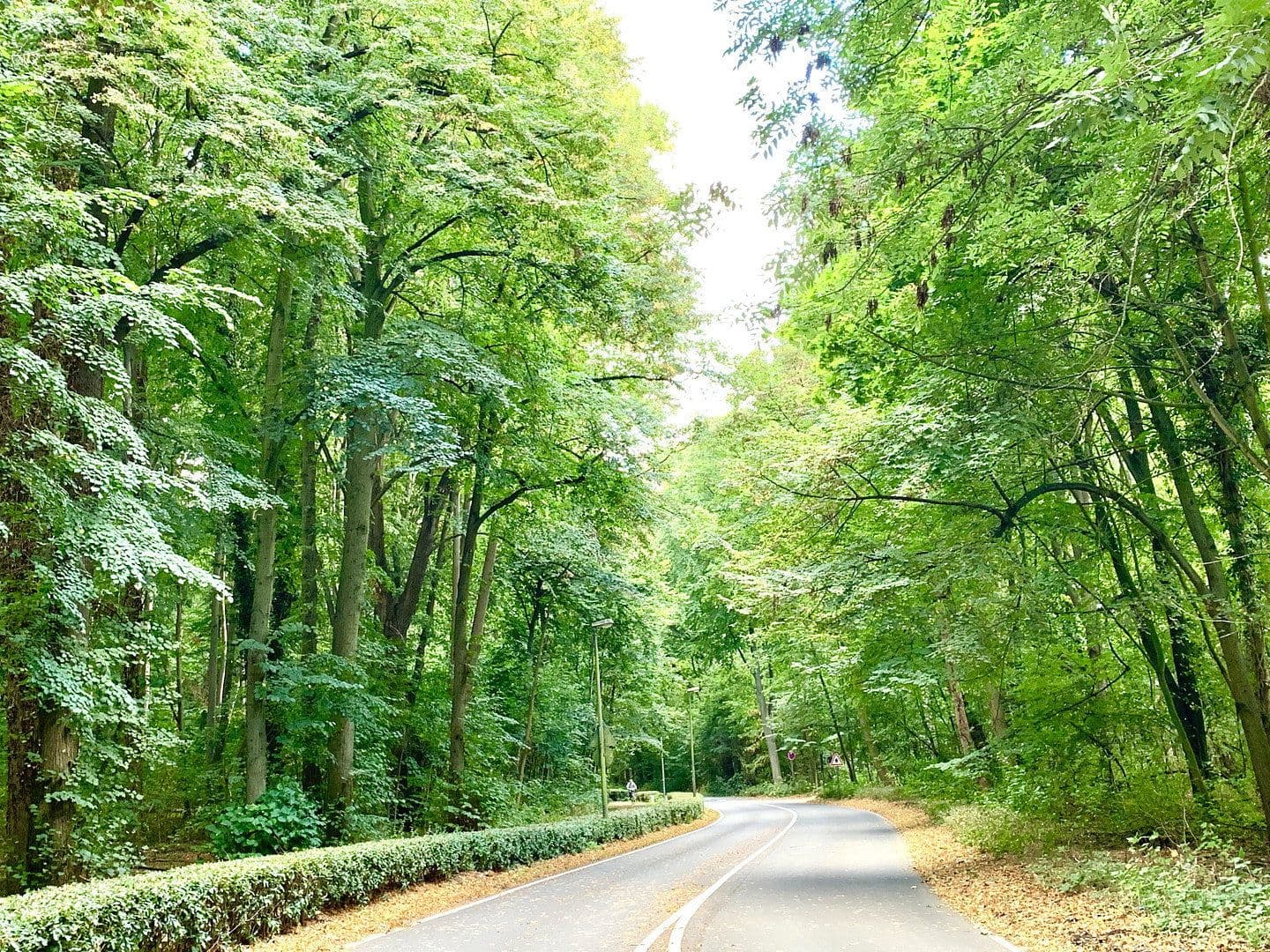 Prodej domu 165 m², pozemek 381 m², Köln, Severní Porýní-Vestfálsko Prodej domu 165 m², pozemek 381 m², Köln, Severní Porýní-Vestfálsko