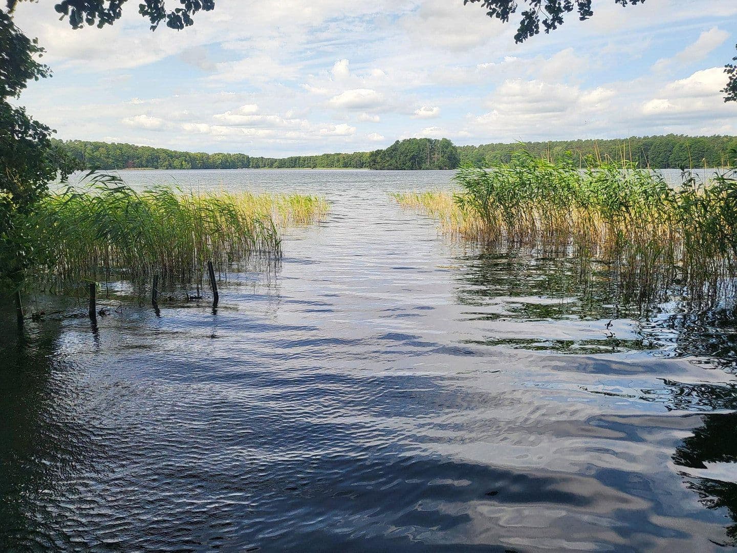 Prodej domu 40 m², pozemek 413 m², Pian 14P, Fürstenberg/Havel, Braniborsko Prodej domu 40 m², pozemek 413 m², Pian 14P, Fürstenberg/Havel, Braniborsko