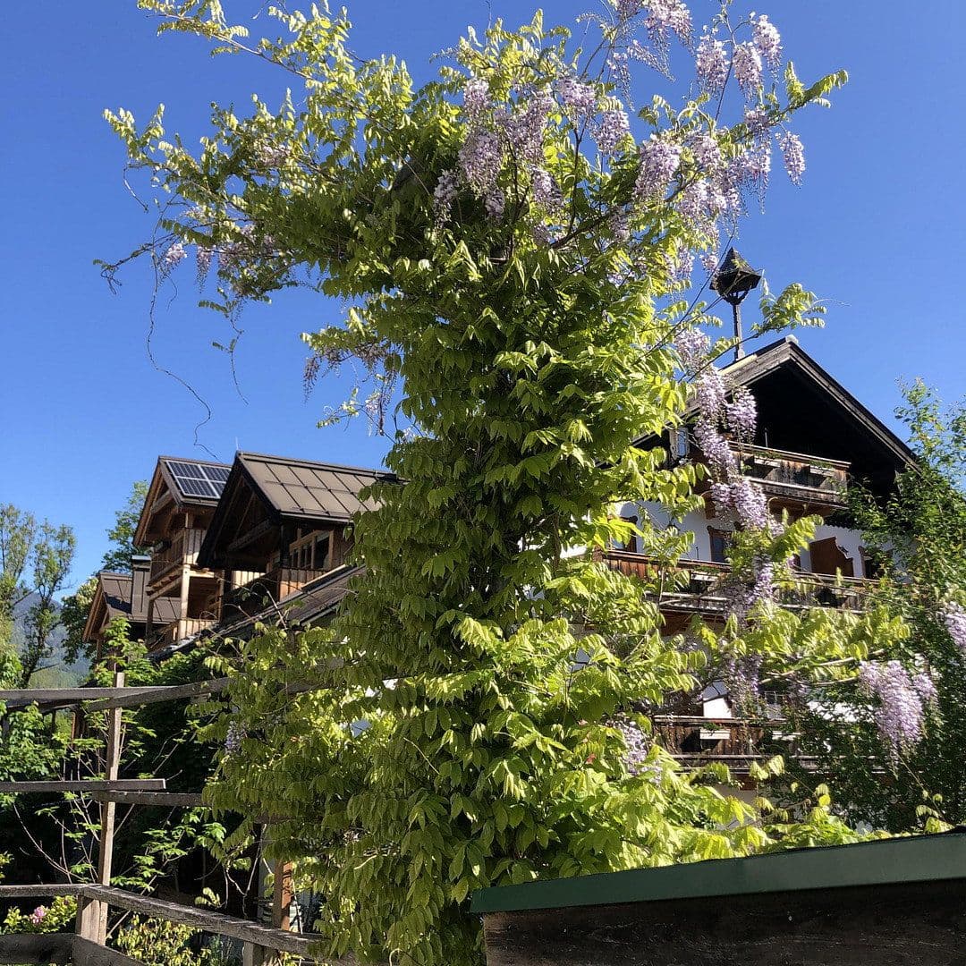 Prodej bytu 2+kk 64 m², Grubhof 37, St. Martin Bei Lofer, Salcbursko Prodej bytu 2+kk 64 m², Grubhof 37, St. Martin Bei Lofer, Salcbursko