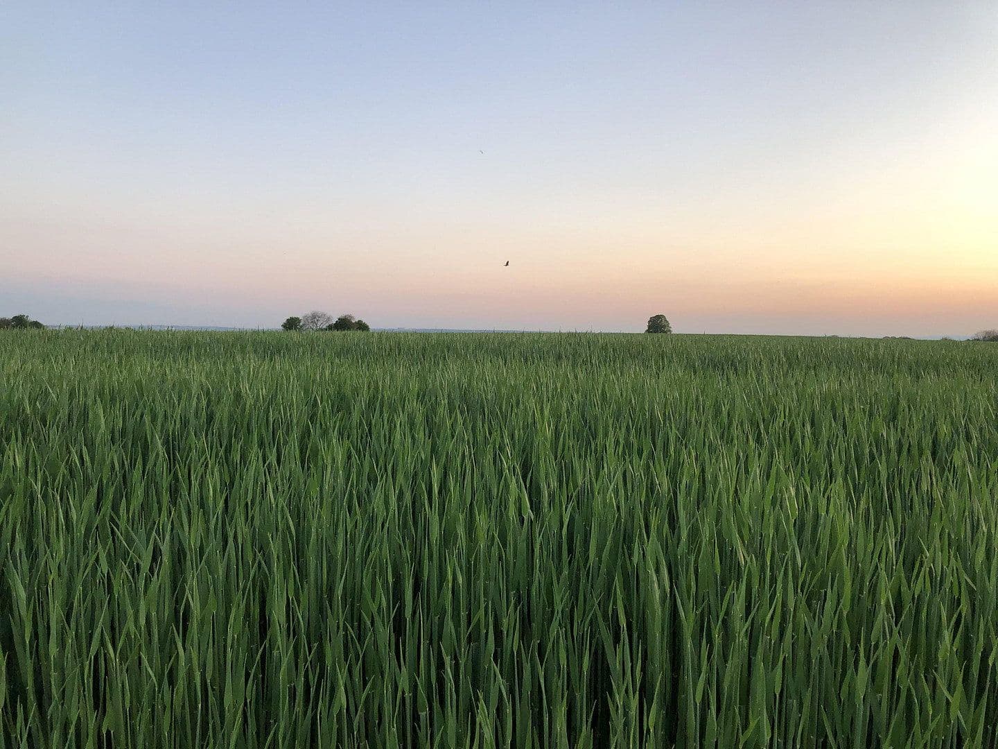 Prodej domu 192 m², pozemek 353 m², Wiesbaden, Hessen Prodej domu 192 m², pozemek 353 m², Wiesbaden, Hessen