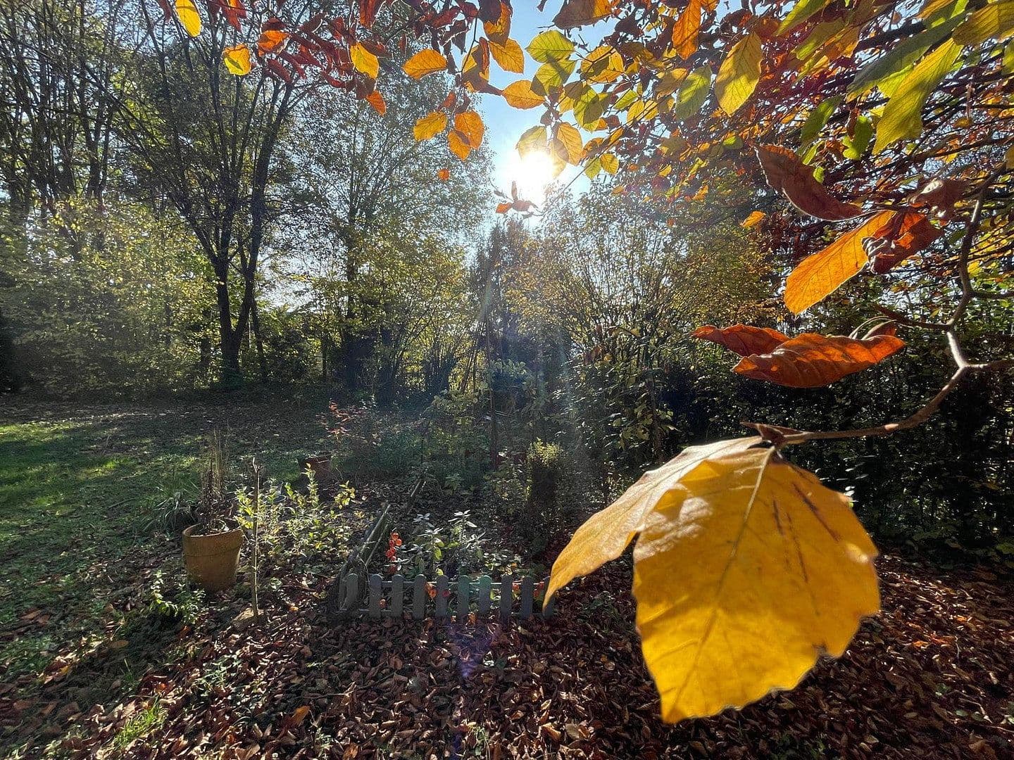 Pronájem domu 150 m², pozemek 1.000 m², Bammental, Bádensko-Württembersko Pronájem domu 150 m², pozemek 1.000 m², Bammental, Bádensko-Württembersko