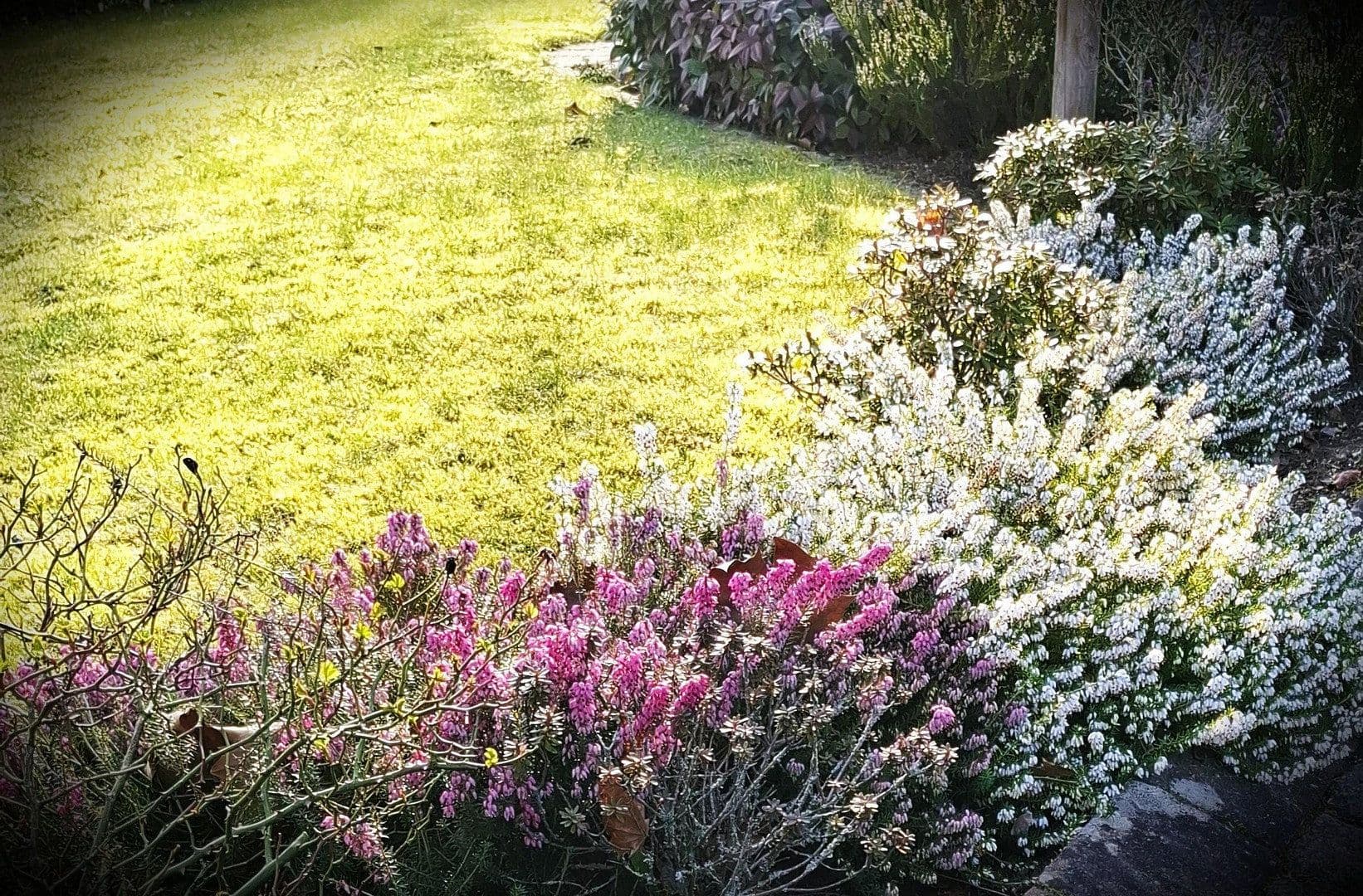 Prodej domu 95 m², pozemek 270 m², Seevetal, Dolní Sasko Prodej domu 95 m², pozemek 270 m², Seevetal, Dolní Sasko