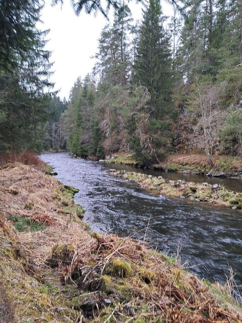 Prodej domu 280 m², pozemek 4.460 m², Regen, Bavorsko Prodej domu 280 m², pozemek 4.460 m², Regen, Bavorsko