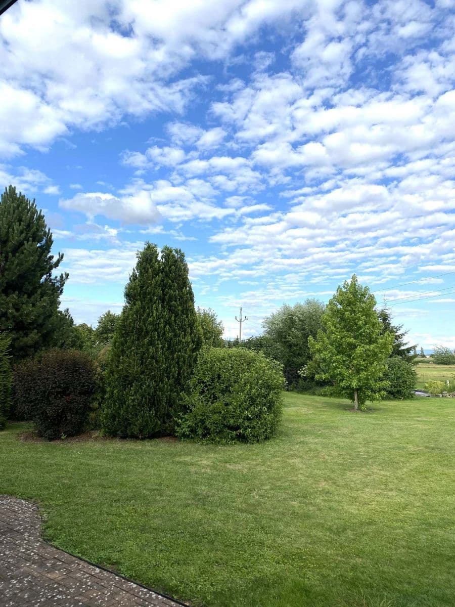 Pronájem chaty, chalupy, Dvůr Králové nad Labem, Královéhradecký kraj Pronájem chaty, chalupy, Dvůr Králové nad Labem, Královéhradecký kraj