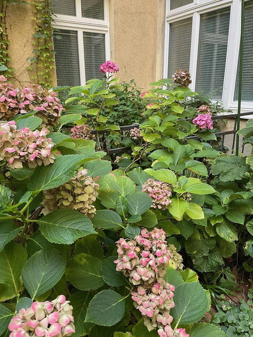 Pronájem kanceláře 135 m², Berlin, Berlín Pronájem kanceláře 135 m², Berlin, Berlín