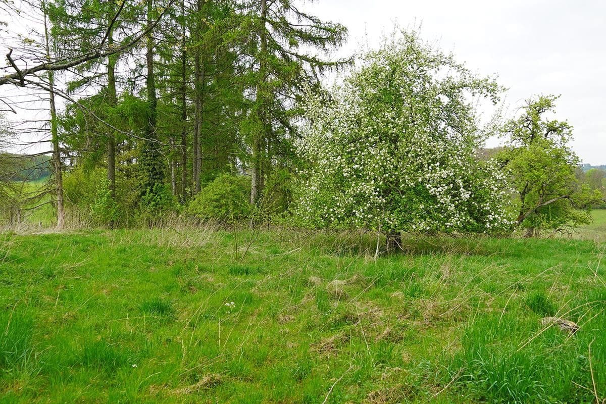 Prodej domu 171 m², pozemek 3.806 m², Untersteinbach 1, Bergisch Gladbach, Severní Porýní-Vestfálsko Prodej domu 171 m², pozemek 3.806 m², Untersteinbach 1, Bergisch Gladbach, Severní Porýní-Vestfálsko