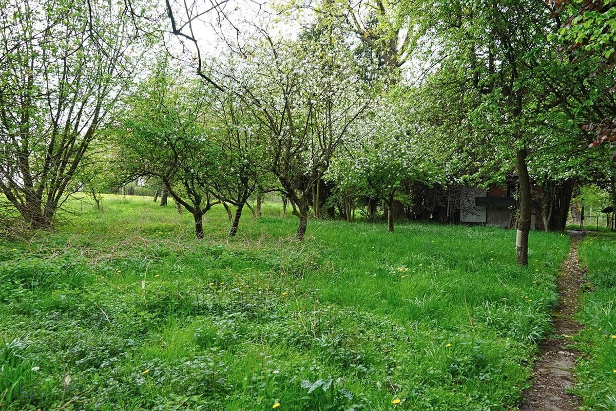 Prodej domu 171 m², pozemek 3.806 m², Untersteinbach 1, Bergisch Gladbach, Severní Porýní-Vestfálsko Prodej domu 171 m², pozemek 3.806 m², Untersteinbach 1, Bergisch Gladbach, Severní Porýní-Vestfálsko