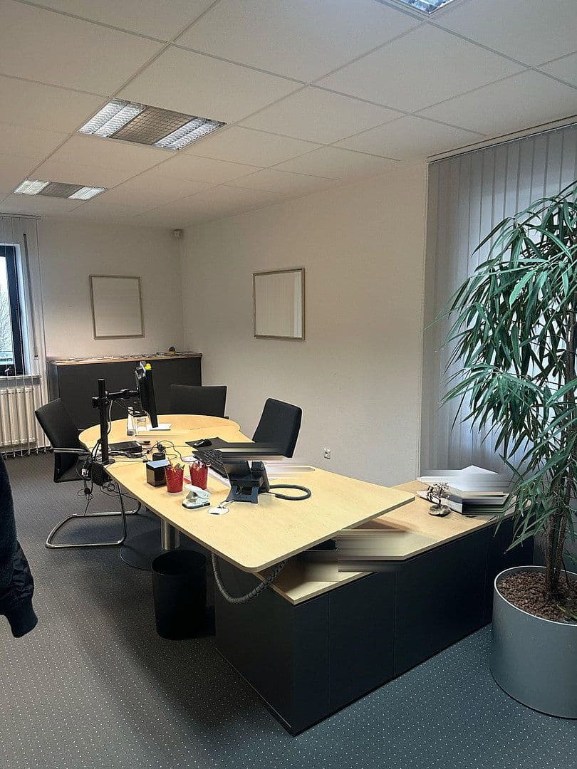 Pronájem nebytového prostoru 198 m², Weinstraße 41, Wachenheim an der Weinstraße, Porýní-Falc Pronájem nebytového prostoru 198 m², Weinstraße 41, Wachenheim an der Weinstraße, Porýní-Falc