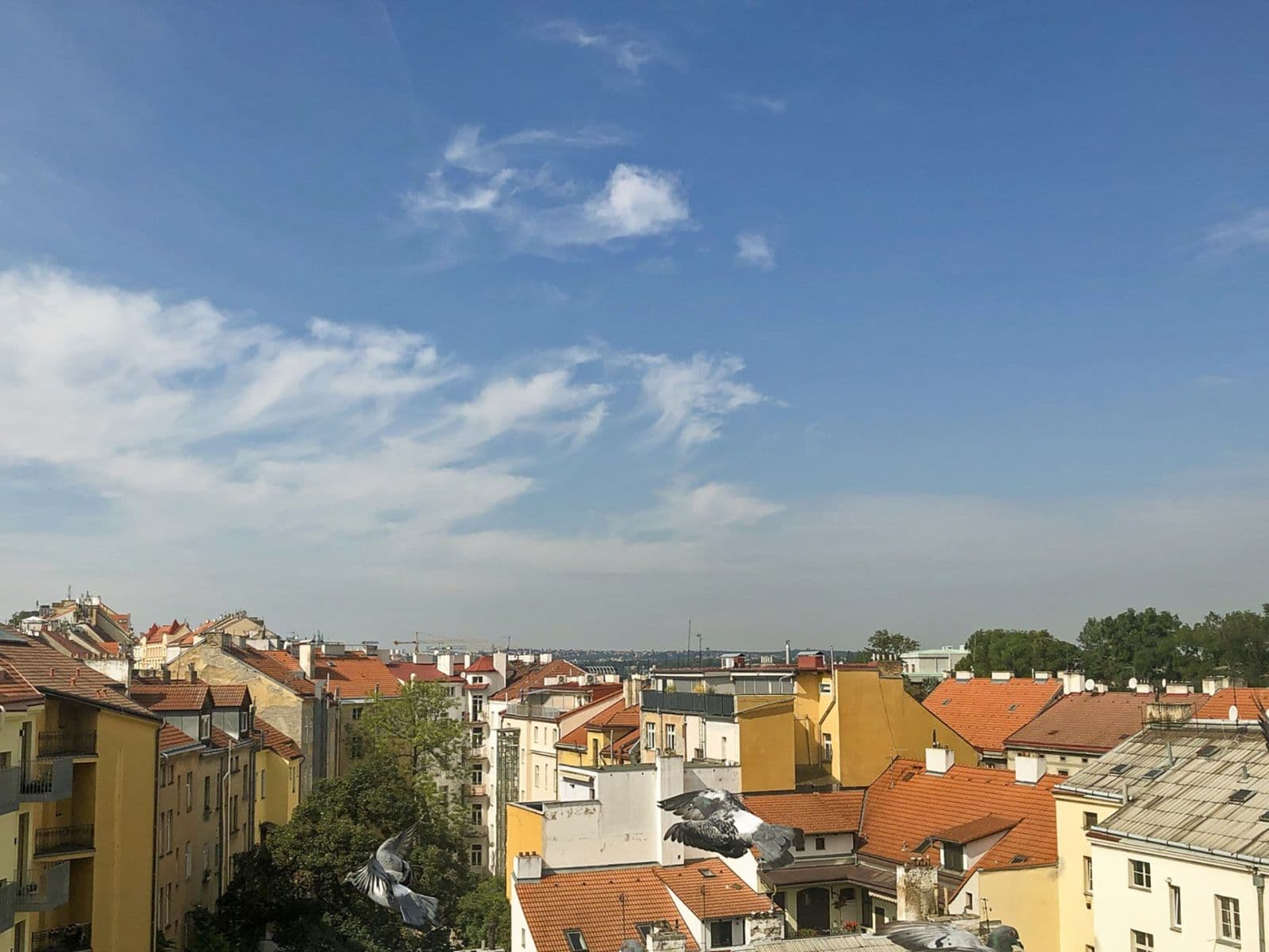Prodej bytu 1+kk 30 m², Jeronýmova, Praha, Praha Prodej bytu 1+kk 30 m², Jeronýmova, Praha, Praha