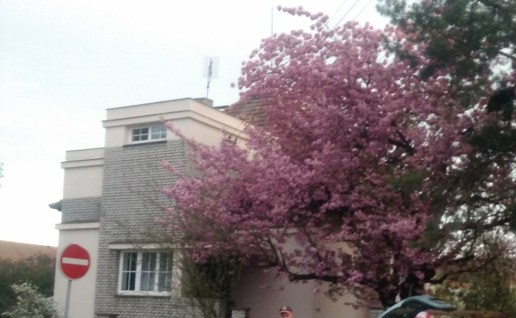 Pronájem domu 150 m², pozemek 1.000 m², Slovenská, Přeštice, Plzeňský kraj Pronájem domu 150 m², pozemek 1.000 m², Slovenská, Přeštice, Plzeňský kraj