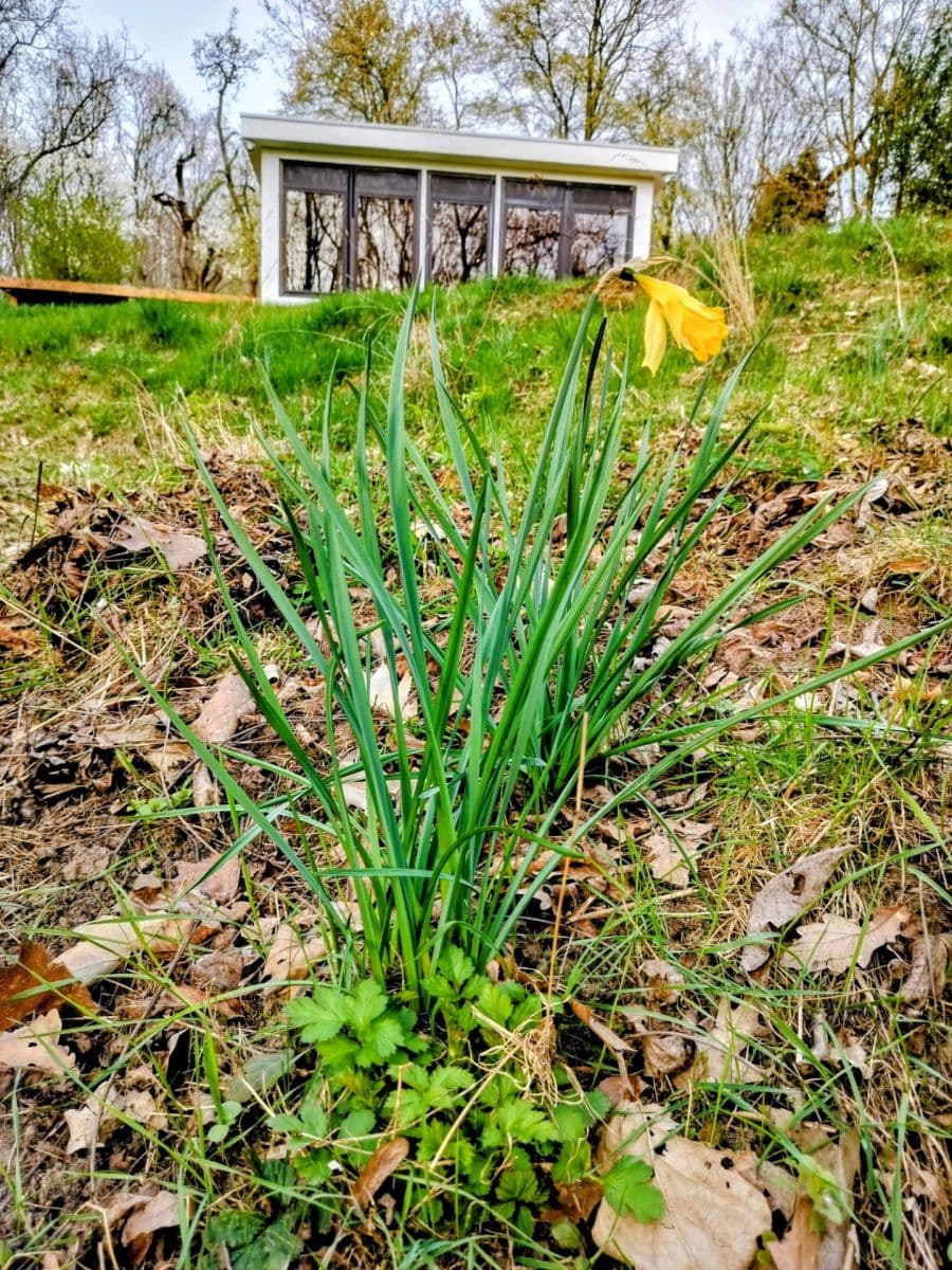 Pronájem pozemku 639 m², Praha, Praha Pronájem pozemku 639 m², Praha, Praha