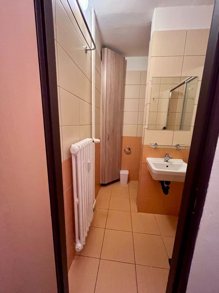 Pronájem bytu 1+kk 25 m², Částkova, Plzeň, Plzeňský kraj Pronájem bytu 1+kk 25 m², Částkova, Plzeň, Plzeňský kraj