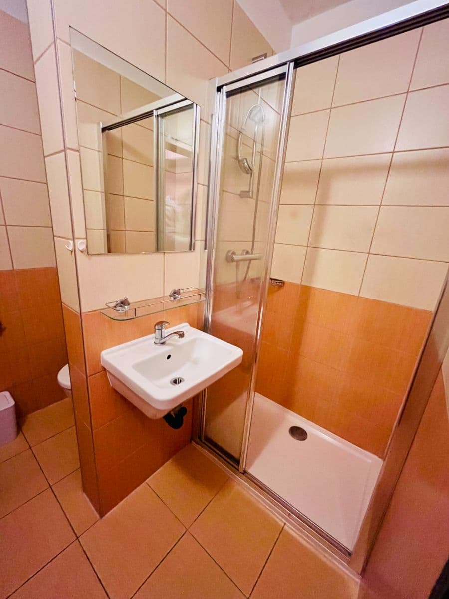 Pronájem bytu 1+kk 25 m², Částkova, Plzeň, Plzeňský kraj Pronájem bytu 1+kk 25 m², Částkova, Plzeň, Plzeňský kraj