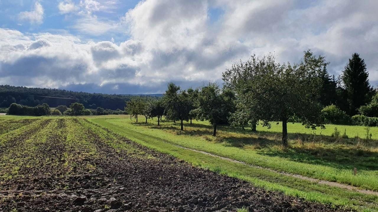Pronájem bytu 3+1 84 m², Litzendorfer Straße 9, Strullendorf, Bavorsko Pronájem bytu 3+1 84 m², Litzendorfer Straße 9, Strullendorf, Bavorsko