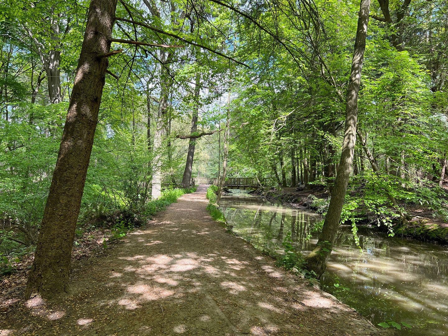 Pronájem bytu 3+1 92 m², Brühlstr. 27b, Wassenberg, Severní Porýní-Vestfálsko Pronájem bytu 3+1 92 m², Brühlstr. 27b, Wassenberg, Severní Porýní-Vestfálsko