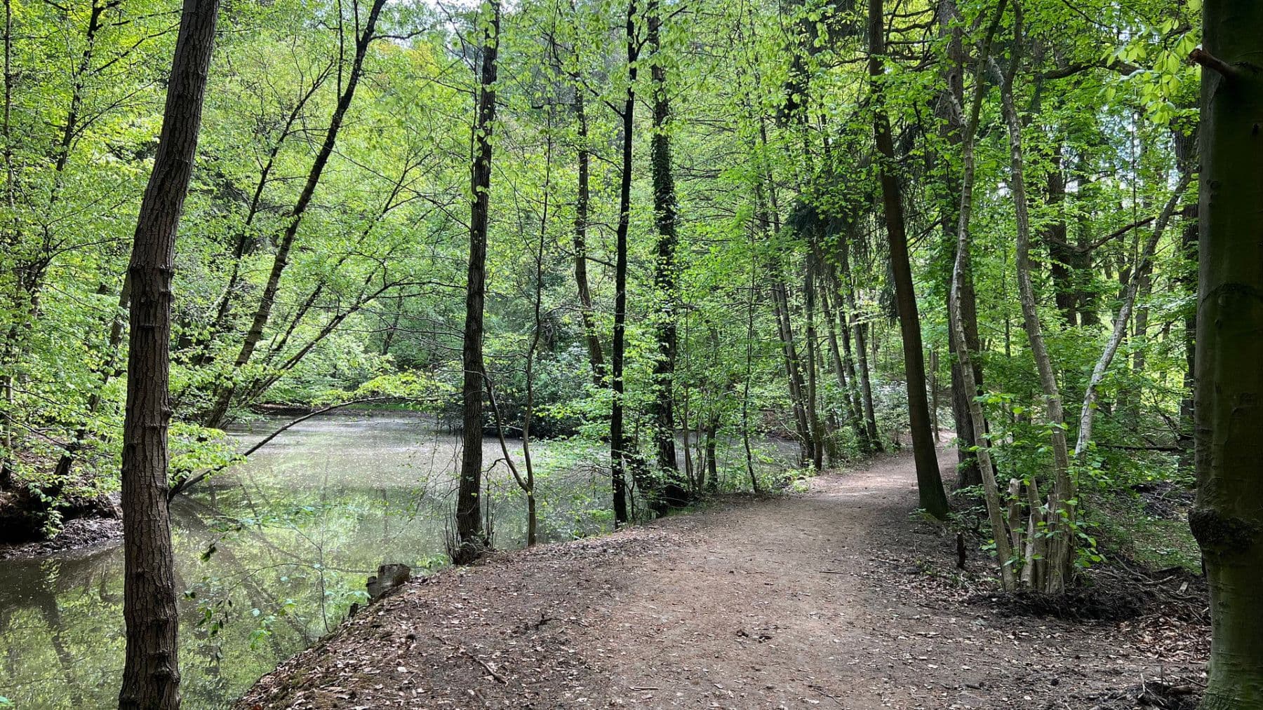 Pronájem bytu 3+1 92 m², Brühlstr. 27b, Wassenberg, Severní Porýní-Vestfálsko Pronájem bytu 3+1 92 m², Brühlstr. 27b, Wassenberg, Severní Porýní-Vestfálsko