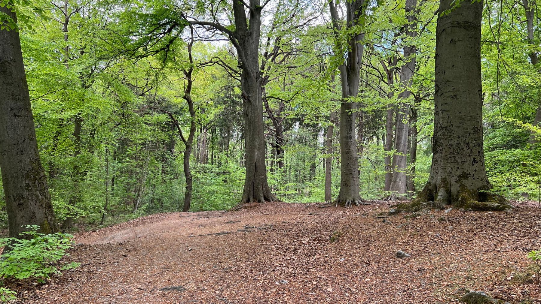 Pronájem bytu 3+1 92 m², Brühlstr. 27b, Wassenberg, Severní Porýní-Vestfálsko Pronájem bytu 3+1 92 m², Brühlstr. 27b, Wassenberg, Severní Porýní-Vestfálsko