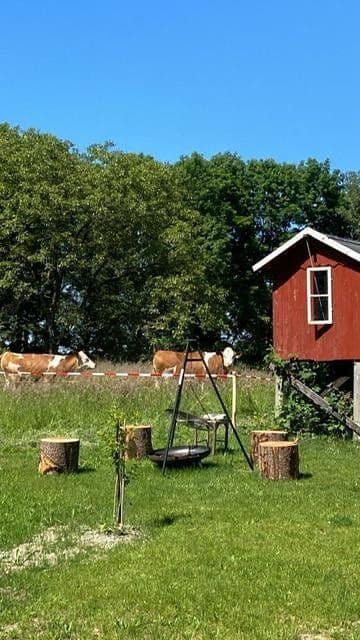 Pronájem domu 154 m², pozemek 1.000 m², Münsing, Bavorsko Pronájem domu 154 m², pozemek 1.000 m², Münsing, Bavorsko