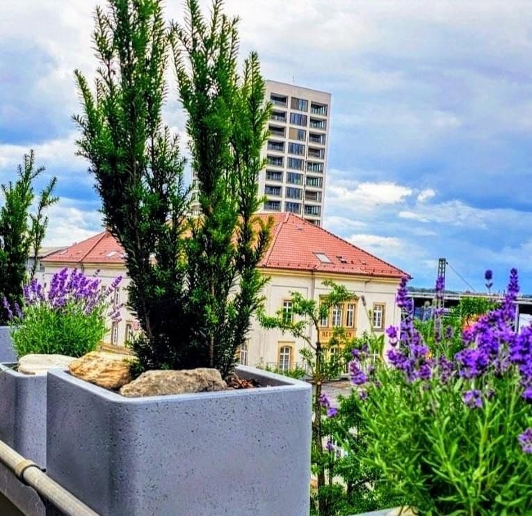 Prodej bytu 2+1 69 m², Reutlingen, Bádensko-Württembersko Prodej bytu 2+1 69 m², Reutlingen, Bádensko-Württembersko