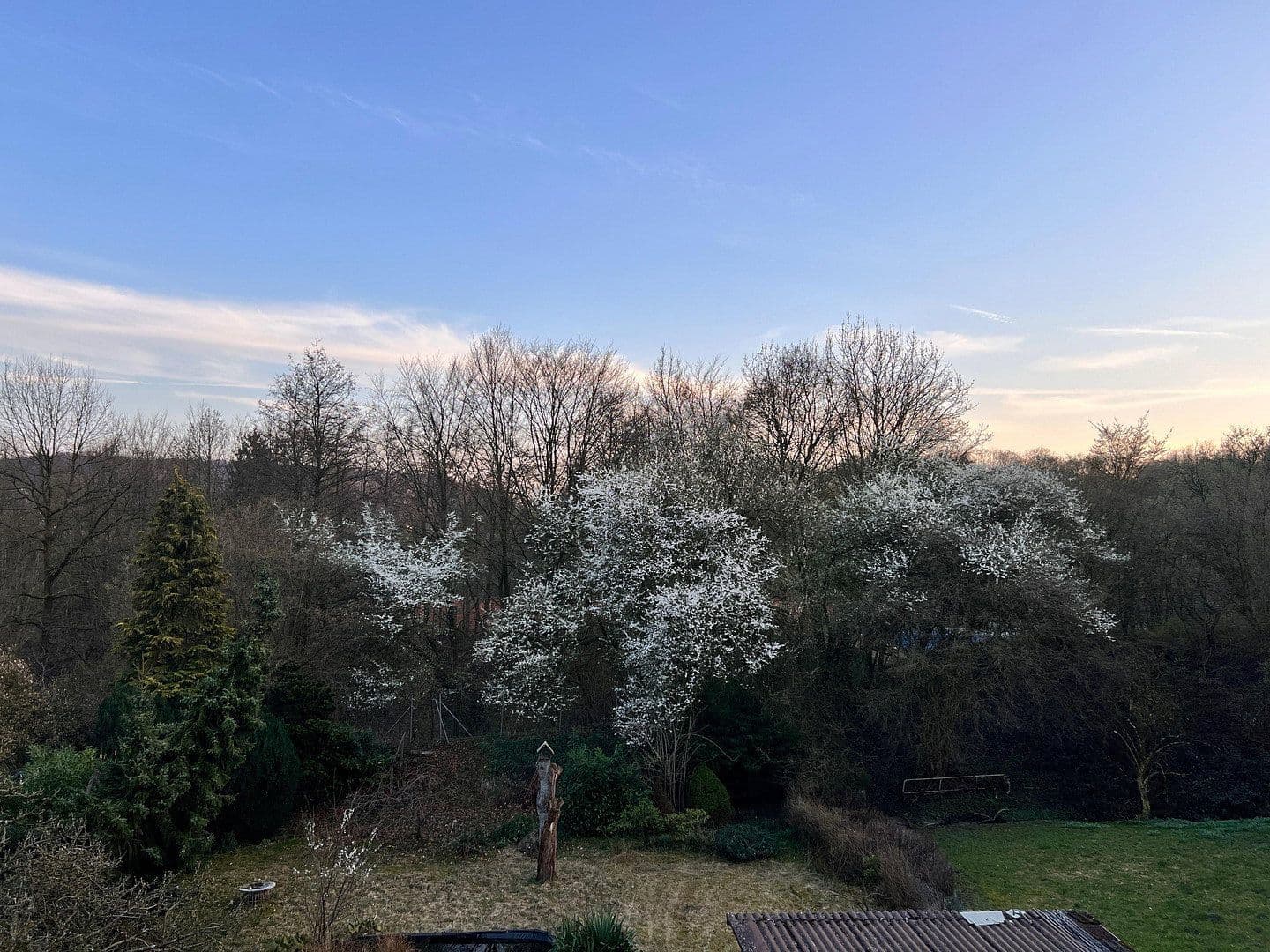 Pronájem domu 230 m², pozemek 600 m², Haller Weg 65a, Bielefeld, Severní Porýní-Vestfálsko Pronájem domu 230 m², pozemek 600 m², Haller Weg 65a, Bielefeld, Severní Porýní-Vestfálsko