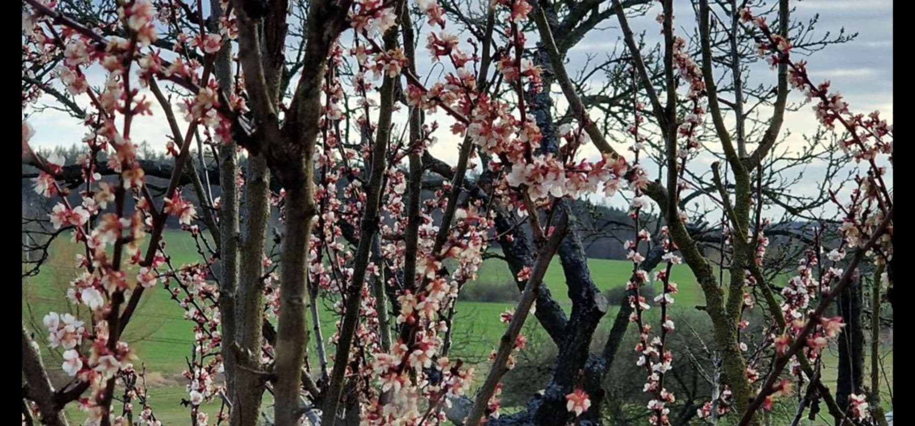 Prodej domu 125 m², pozemek 126 m², Tachlovice, Středočeský kraj Prodej domu 125 m², pozemek 126 m², Tachlovice, Středočeský kraj