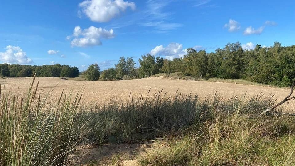 Prodej bytu 3+1 96 m², Reinbeker Redder 57a, Hamburg, Hamburg Prodej bytu 3+1 96 m², Reinbeker Redder 57a, Hamburg, Hamburg