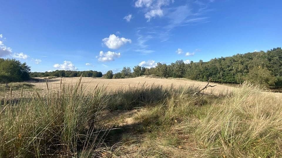 Prodej bytu 3+kk 153 m², Reinbeker Redder 57a, Hamburg, Hamburg Prodej bytu 3+kk 153 m², Reinbeker Redder 57a, Hamburg, Hamburg