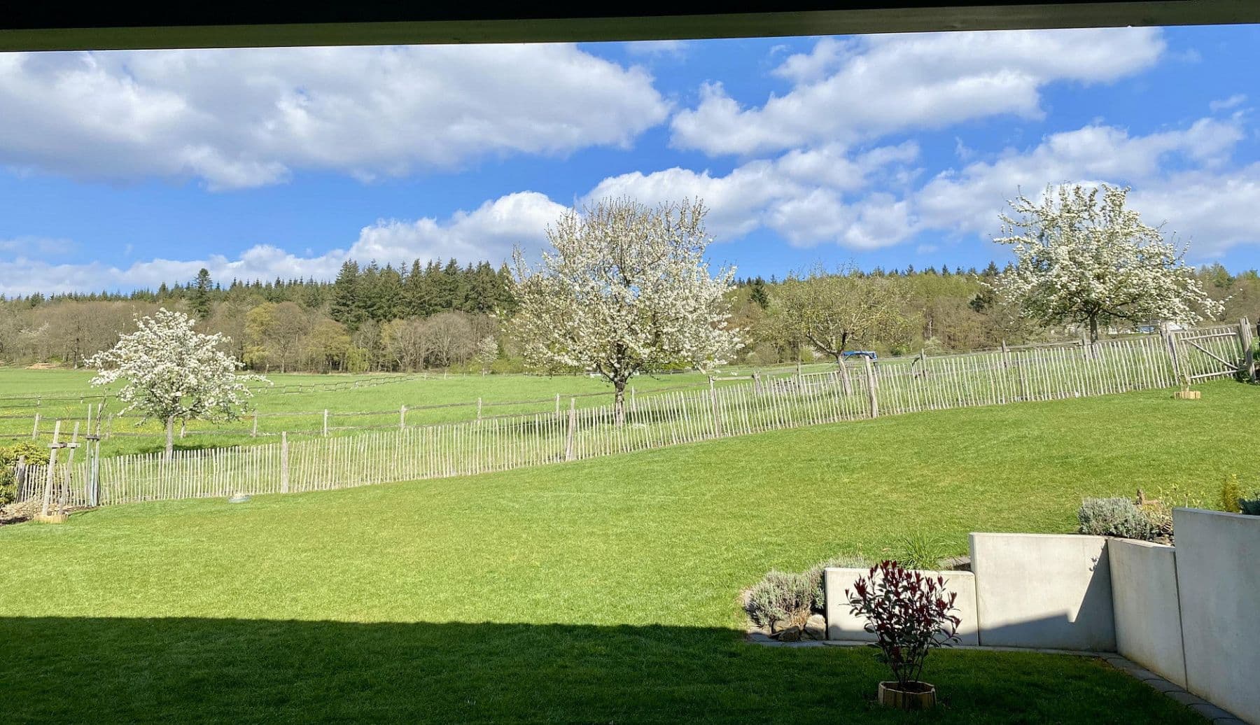 Prodej domu 98 m², pozemek 650 m², Weidenbach, Porýní-Falc Prodej domu 98 m², pozemek 650 m², Weidenbach, Porýní-Falc