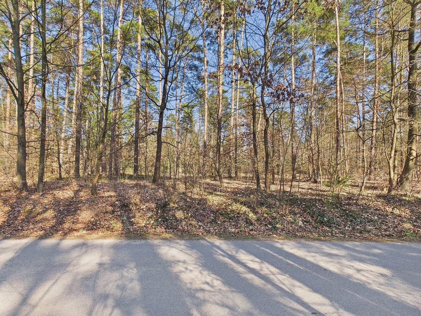 Prodej domu 68 m², pozemek 560 m², Wandlitz, Braniborsko Prodej domu 68 m², pozemek 560 m², Wandlitz, Braniborsko