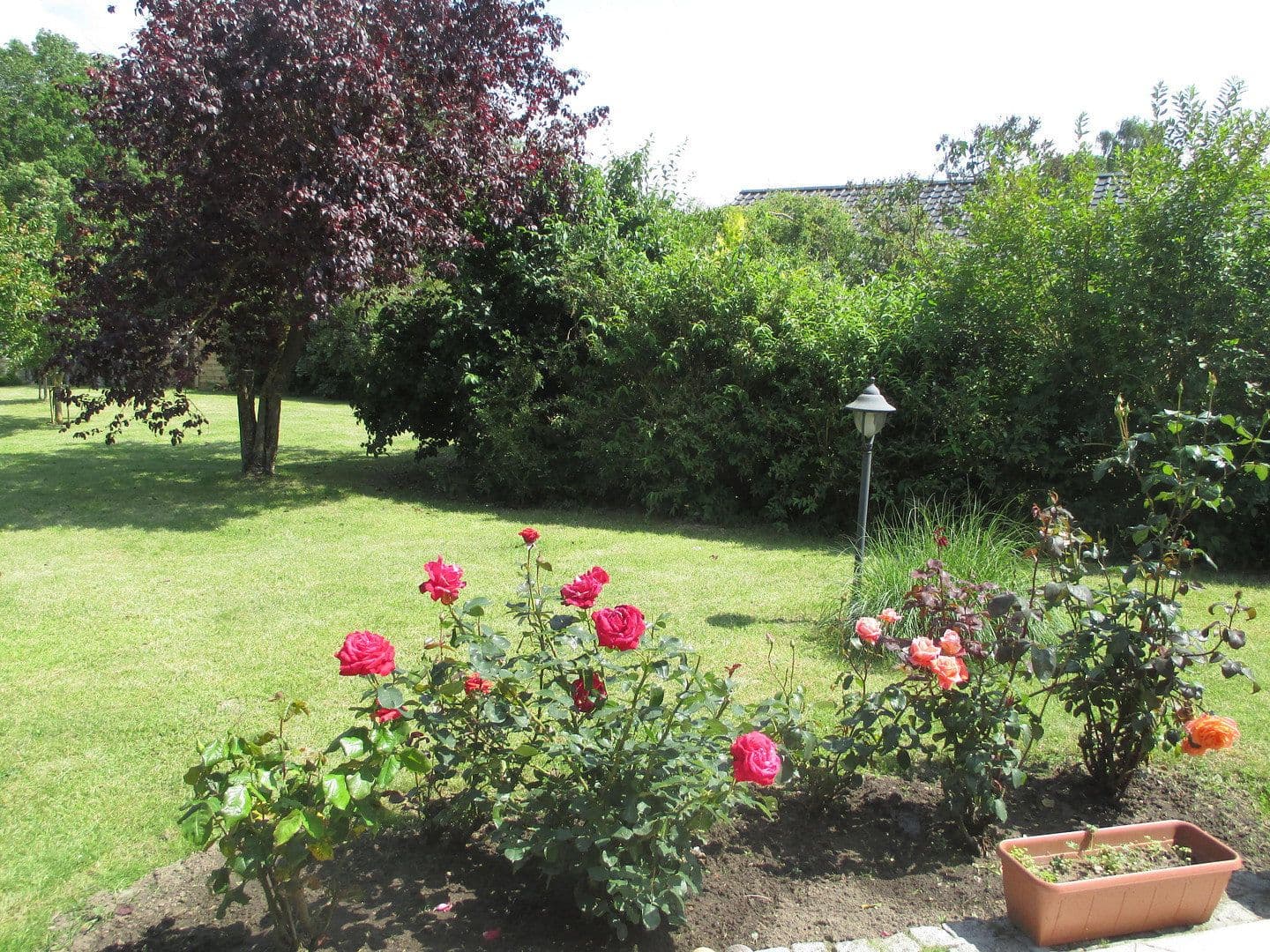 Prodej domu 153 m², pozemek 1.800 m², Neubukow, Mecklenburg-Vorpommern Prodej domu 153 m², pozemek 1.800 m², Neubukow, Mecklenburg-Vorpommern