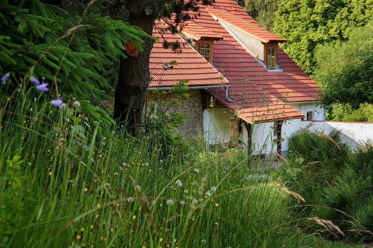 Pronájem chaty, chalupy, Benešov nad Černou, Jihočeský kraj Pronájem chaty, chalupy, Benešov nad Černou, Jihočeský kraj