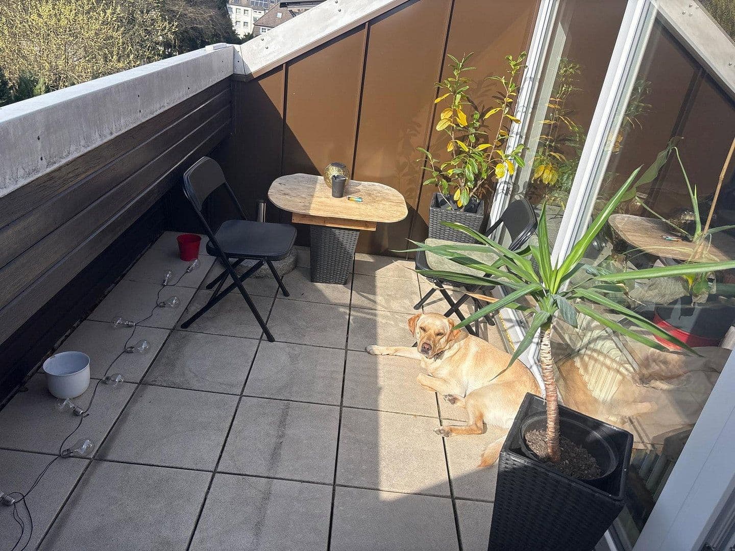 Pronájem bytu 2+1 61 m², Dortmund, Severní Porýní-Vestfálsko Pronájem bytu 2+1 61 m², Dortmund, Severní Porýní-Vestfálsko