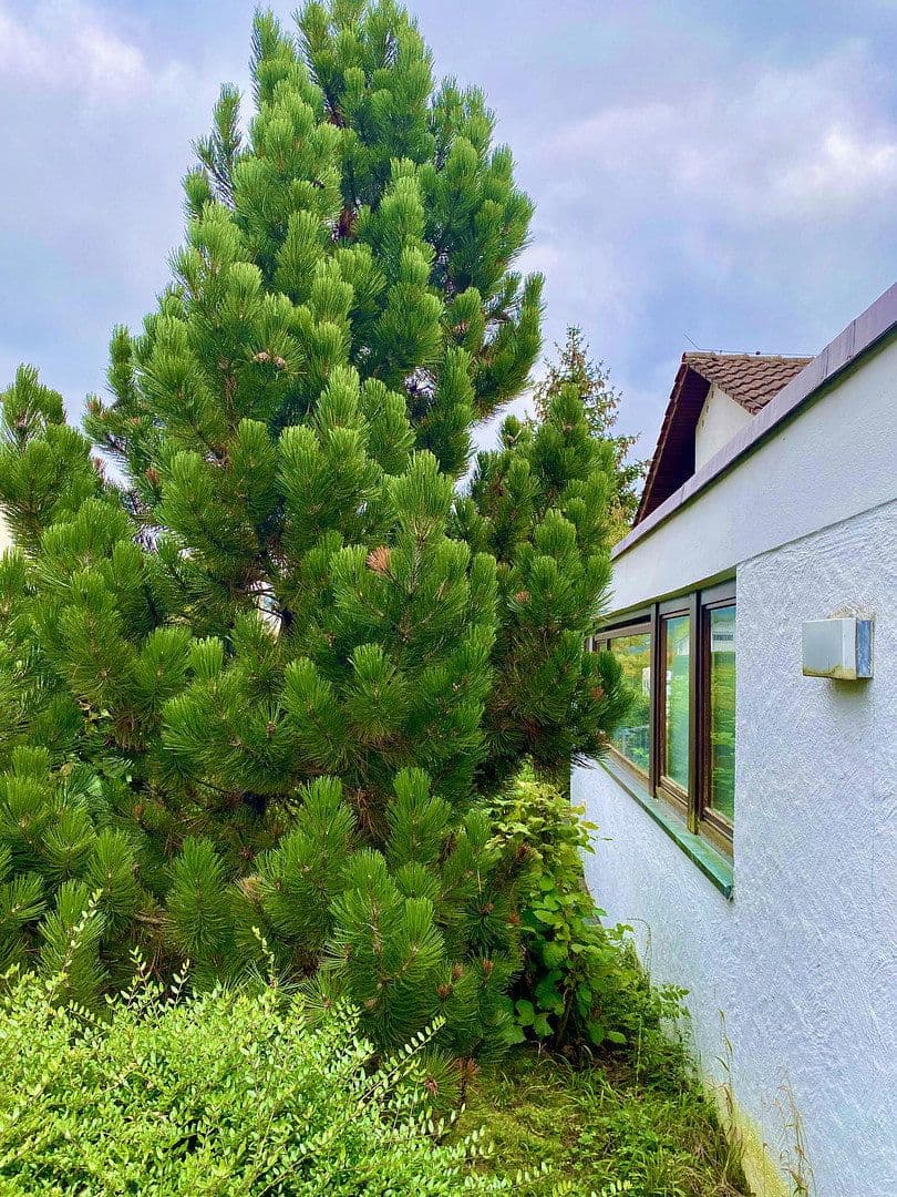 Prodej domu 240 m², pozemek 1.215 m², Panoramaweg 15, Rudersberg, Bádensko-Württembersko Prodej domu 240 m², pozemek 1.215 m², Panoramaweg 15, Rudersberg, Bádensko-Württembersko