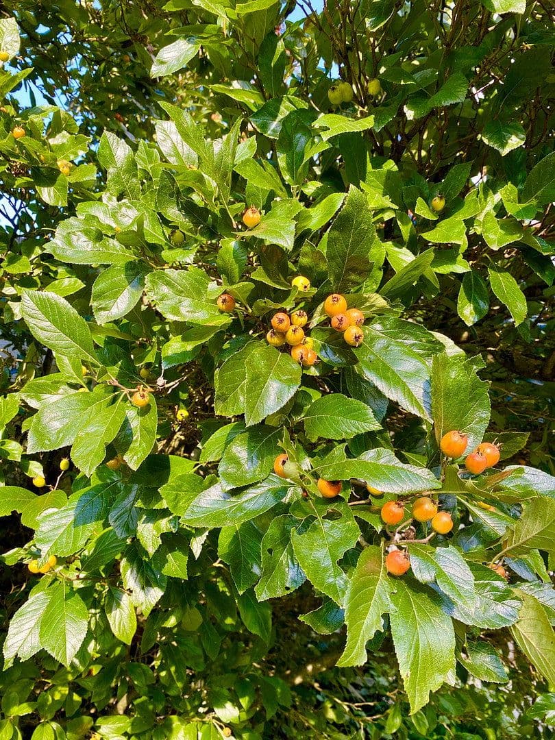 Prodej domu 240 m², pozemek 1.215 m², Panoramaweg 15, Rudersberg, Bádensko-Württembersko Prodej domu 240 m², pozemek 1.215 m², Panoramaweg 15, Rudersberg, Bádensko-Württembersko