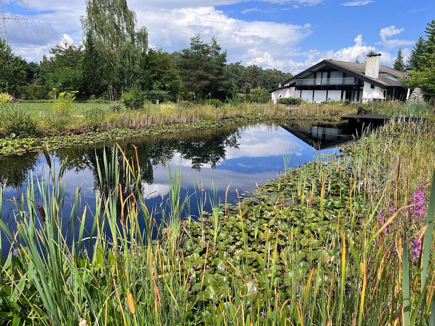 Prodej domu 591 m², pozemek 4.760 m², Möhrendorf, Bavorsko Prodej domu 591 m², pozemek 4.760 m², Möhrendorf, Bavorsko