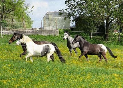 Prodej pozemku 94.000 m², Meßkirch, Bádensko-Württembersko Prodej pozemku 94.000 m², Meßkirch, Bádensko-Württembersko