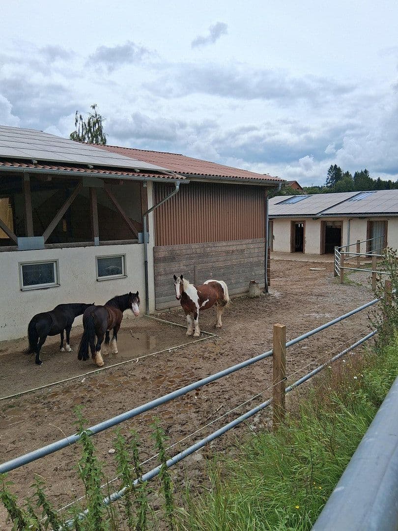 Prodej pozemku 94.000 m², Meßkirch, Bádensko-Württembersko Prodej pozemku 94.000 m², Meßkirch, Bádensko-Württembersko