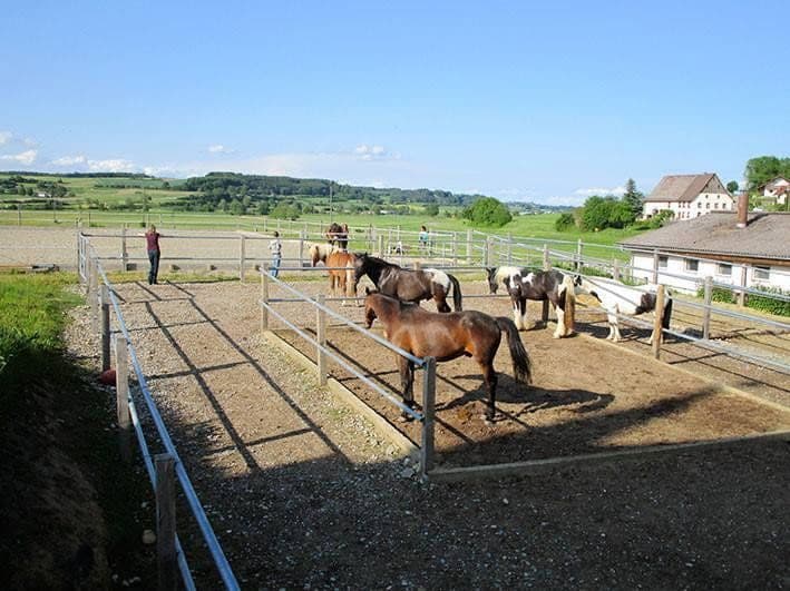 Prodej pozemku 94.000 m², Meßkirch, Bádensko-Württembersko Prodej pozemku 94.000 m², Meßkirch, Bádensko-Württembersko