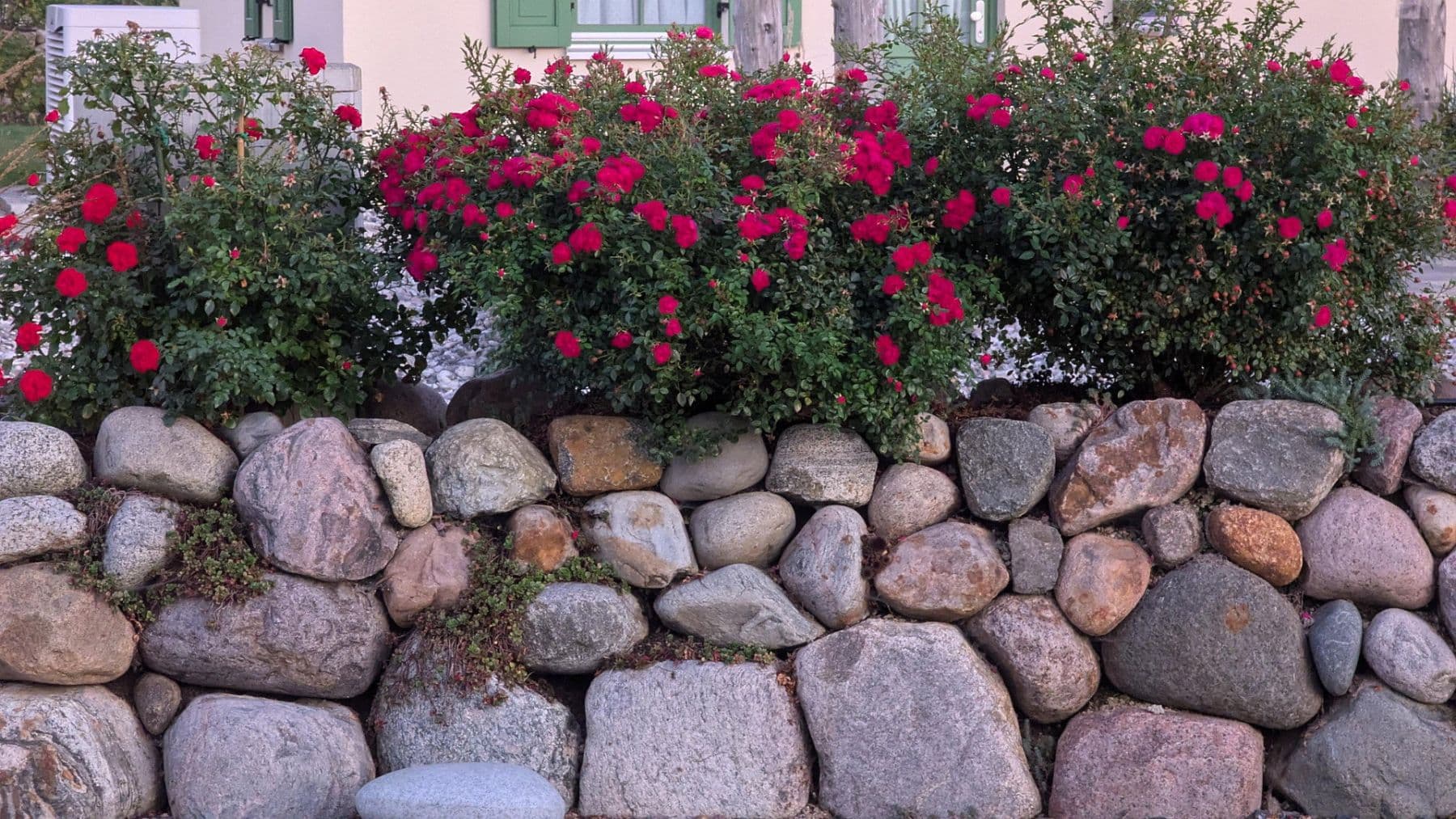 Prodej domu 88 m², pozemek 656 m², Prohn, Mecklenburg-Vorpommern Prodej domu 88 m², pozemek 656 m², Prohn, Mecklenburg-Vorpommern