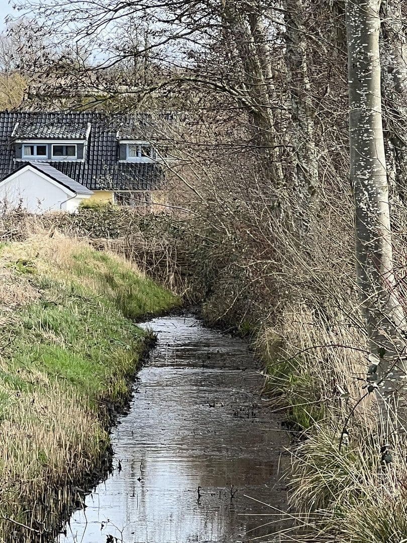 Prodej domu 244 m², pozemek 13.600 m², Dorfstraße, 16, Neuenkirchen, Mecklenburg-Vorpommern Prodej domu 244 m², pozemek 13.600 m², Dorfstraße, 16, Neuenkirchen, Mecklenburg-Vorpommern