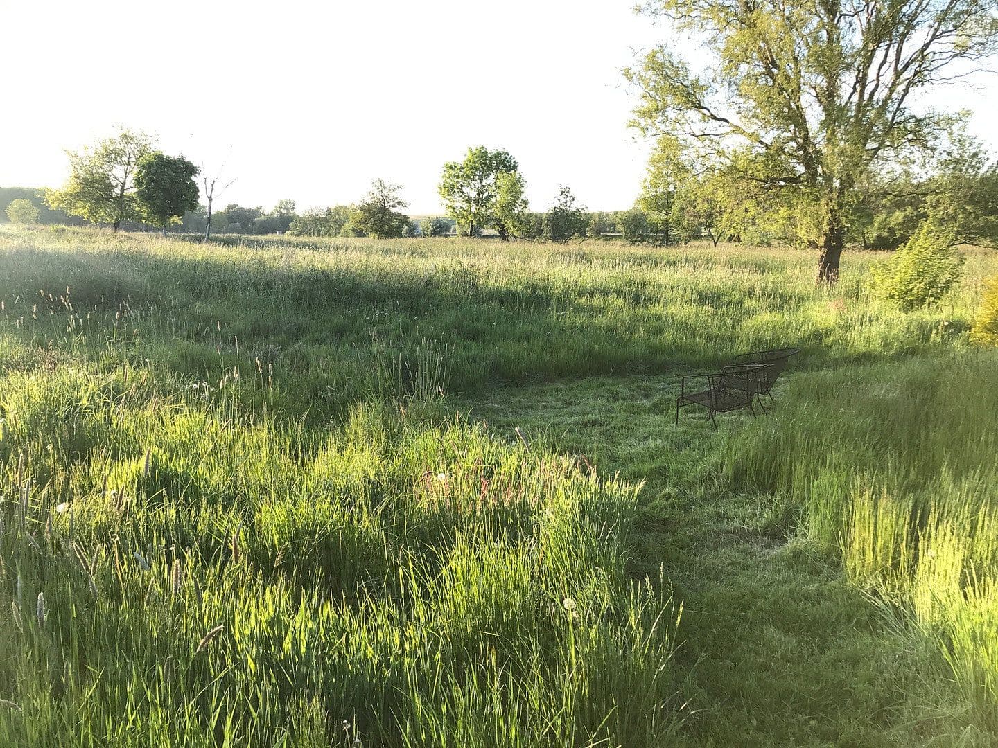 Prodej domu 244 m², pozemek 13.600 m², Dorfstraße, 16, Neuenkirchen, Mecklenburg-Vorpommern Prodej domu 244 m², pozemek 13.600 m², Dorfstraße, 16, Neuenkirchen, Mecklenburg-Vorpommern